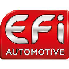 EFİ OTO img